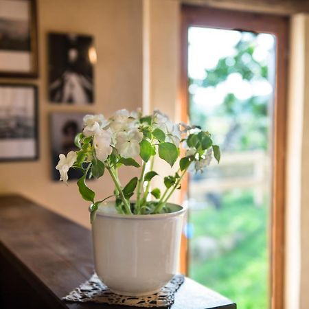 Torre Nel Chianti Bed & Breakfast Greve in Chianti Exterior photo